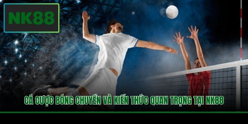 Cá Cược Bóng Chuyền Và Kiến Thức Quan Trọng Tại NK88 8 Cá Cược Bóng Chuyền Và Kiến Thức Quan Trọng Tại NK88
